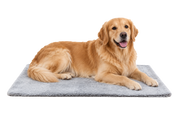 Hugcubs Pet Heating Pad L — 90 × 60 cm (HP038)